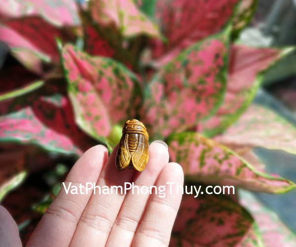 Mặt Ve đá mắt mèo vân gỗ S6862