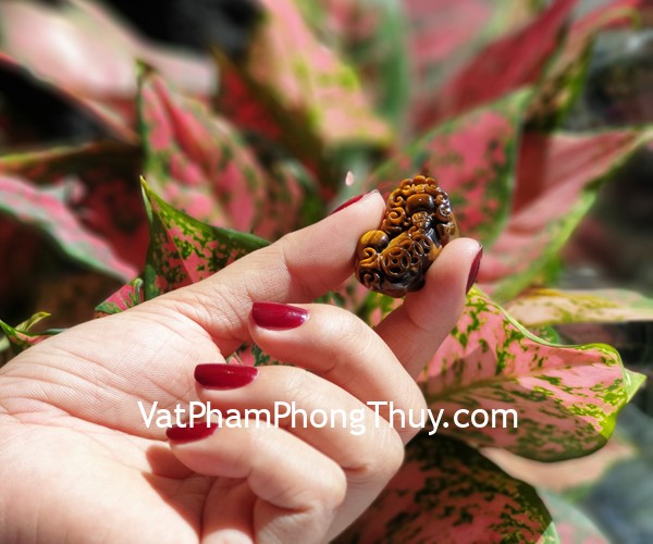 Tỳ hưu mắt mèo cõng tiền trung S6850